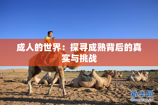 成人的世界：探寻成熟背后的真实与挑战