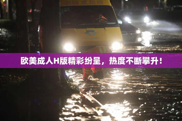 欧美成人H版精彩纷呈，热度不断攀升！