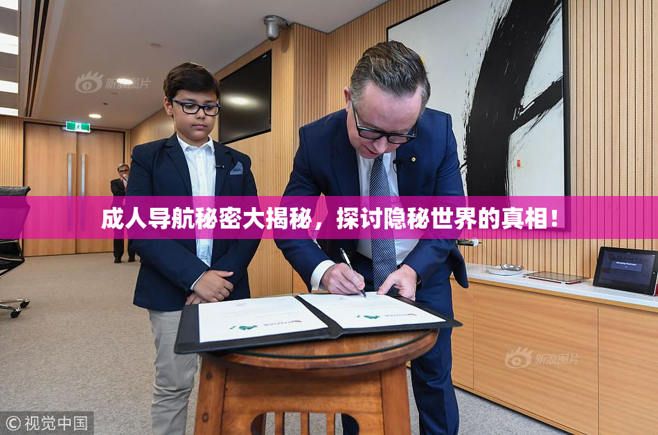 成人导航秘密大揭秘，探讨隐秘世界的真相！