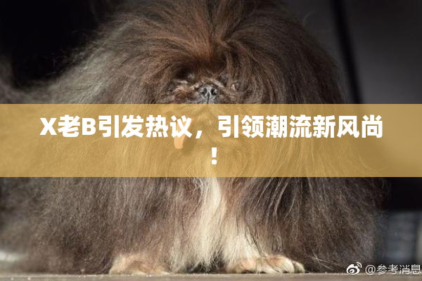 X老B引发热议，引领潮流新风尚！