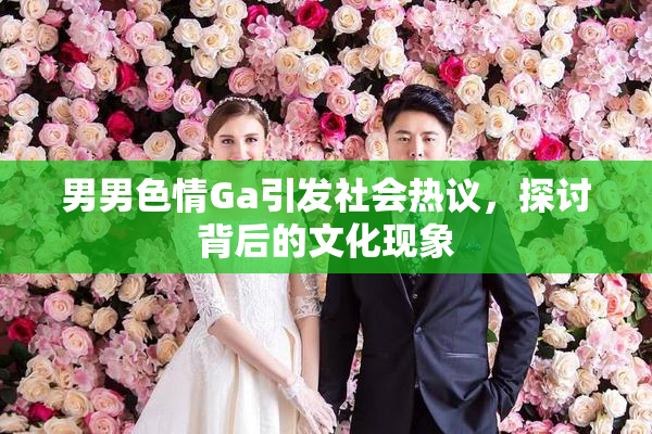 男男色情Ga引发社会热议，探讨背后的文化现象