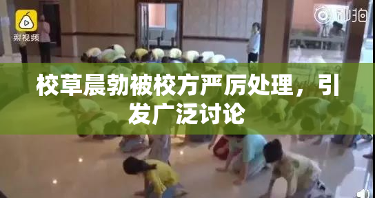 校草晨勃被校方严厉处理，引发广泛讨论
