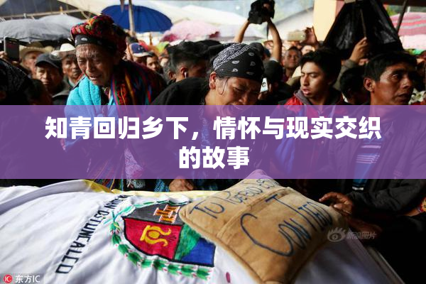 知青回归乡下，情怀与现实交织的故事
