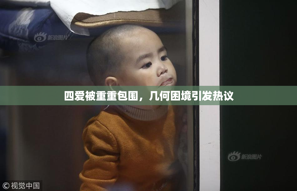 四爱被重重包围，几何困境引发热议