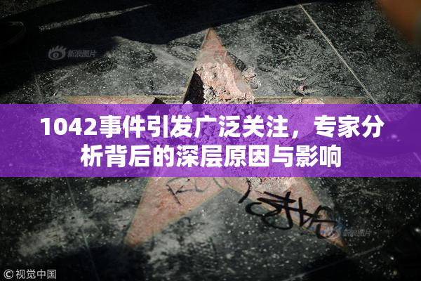 1042事件引发广泛关注，专家分析背后的深层原因与影响