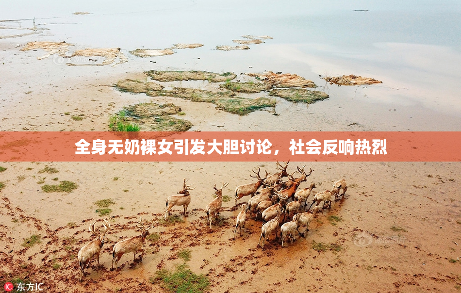 全身无奶裸女引发大胆讨论，社会反响热烈
