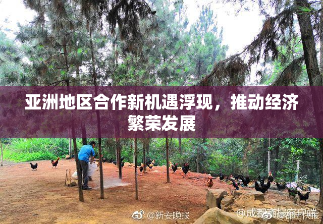 亚洲地区合作新机遇浮现，推动经济繁荣发展