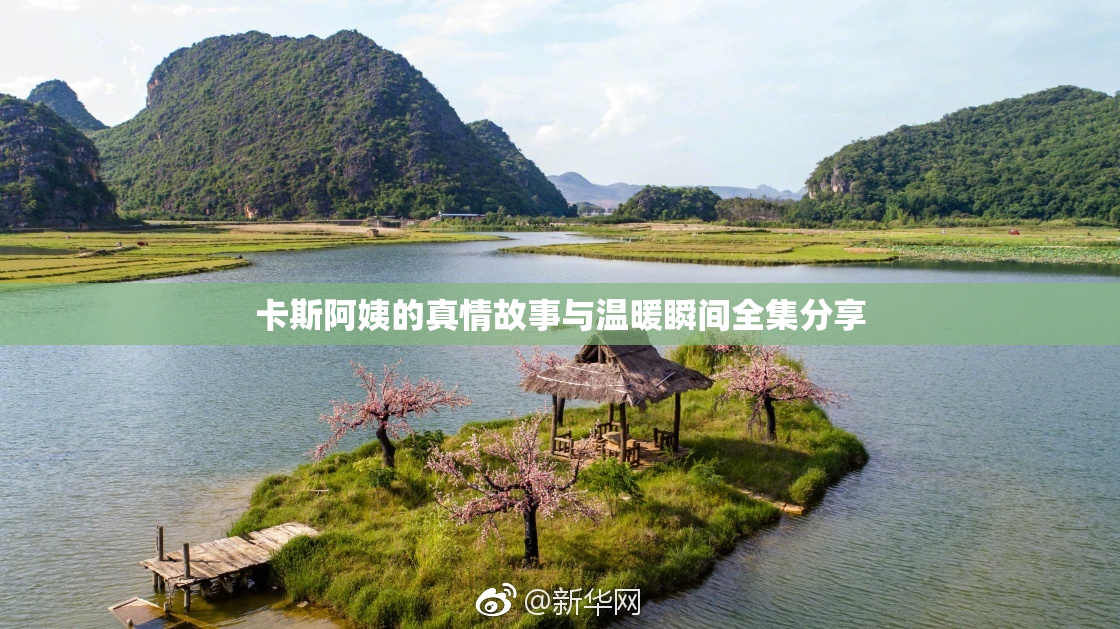 卡斯阿姨的真情故事与温暖瞬间全集分享