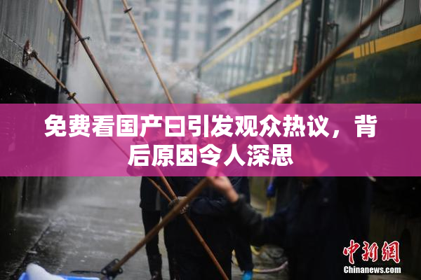 免费看国产曰引发观众热议，背后原因令人深思