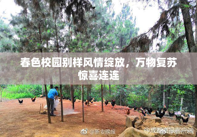 春色校园别样风情绽放，万物复苏惊喜连连