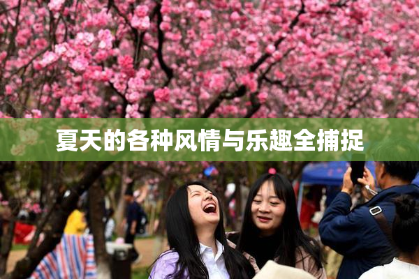 夏天的各种风情与乐趣全捕捉