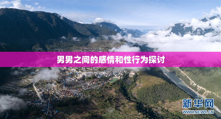 男男之间的感情和性行为探讨