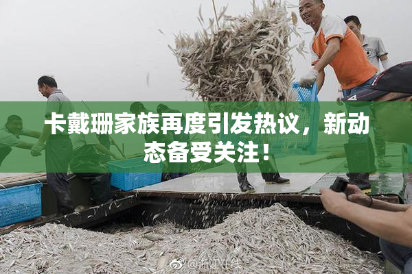 卡戴珊家族再度引发热议，新动态备受关注！