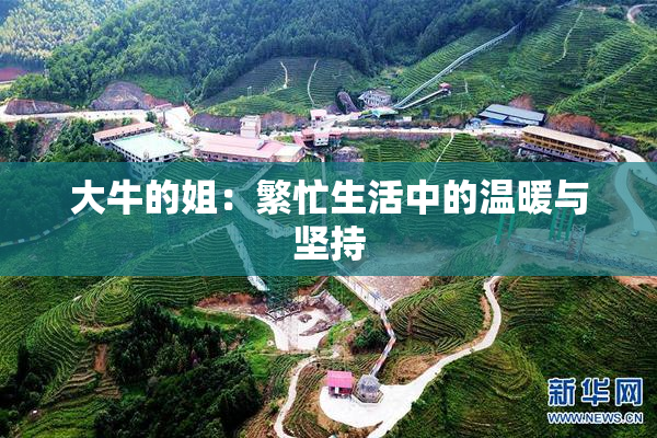 大牛的姐：繁忙生活中的温暖与坚持