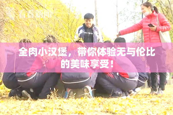 全肉小汉堡，带你体验无与伦比的美味享受！