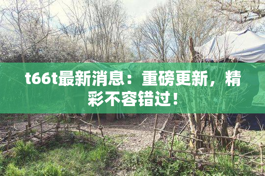 t66t最新消息：重磅更新，精彩不容错过！