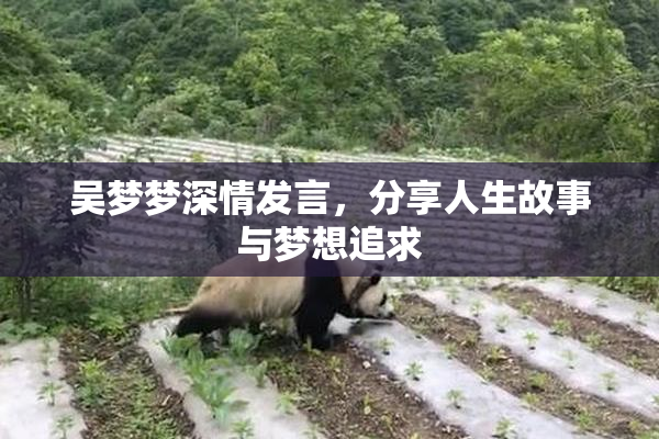 吴梦梦深情发言，分享人生故事与梦想追求