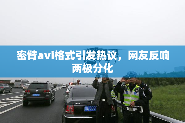 密臂avi格式引发热议，网友反响两极分化
