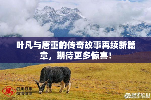 叶凡与唐重的传奇故事再续新篇章，期待更多惊喜！