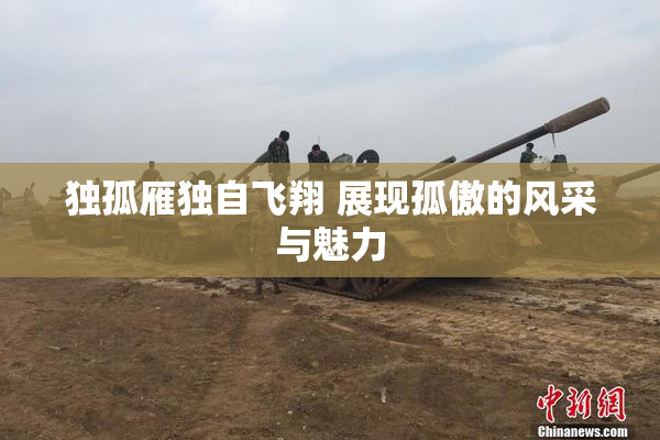 独孤雁独自飞翔 展现孤傲的风采与魅力