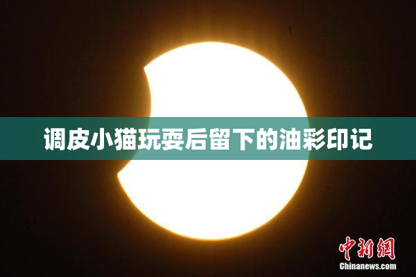 调皮小猫玩耍后留下的油彩印记