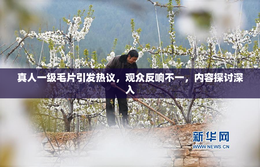 真人一级毛片引发热议，观众反响不一，内容探讨深入