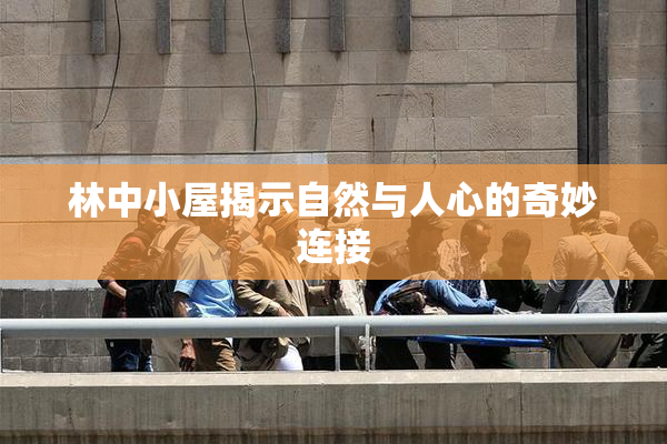 林中小屋揭示自然与人心的奇妙连接