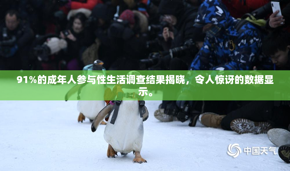 91%的成年人参与性生活调查结果揭晓，令人惊讶的数据显示。