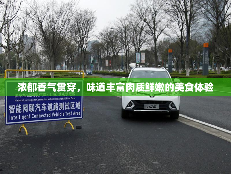 浓郁香气贯穿，味道丰富肉质鲜嫩的美食体验