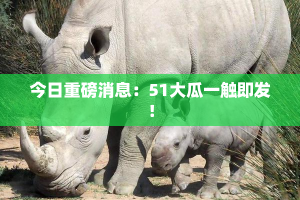 今日重磅消息：51大瓜一触即发！