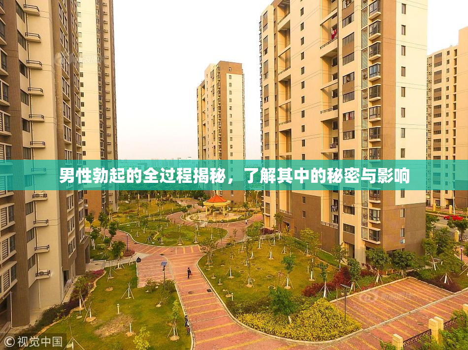 男性勃起的全过程揭秘，了解其中的秘密与影响