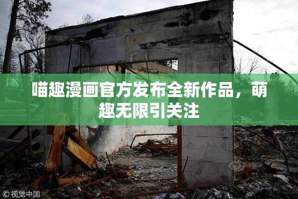 喵趣漫画官方发布全新作品，萌趣无限引关注