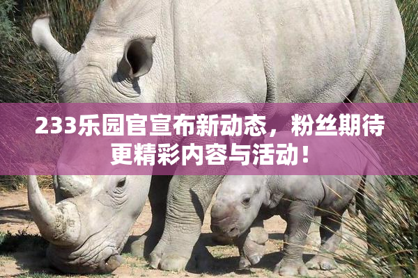 233乐园官宣布新动态，粉丝期待更精彩内容与活动！