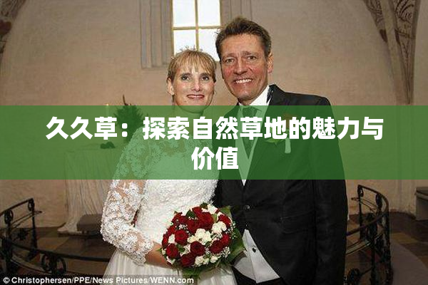 久久草：探索自然草地的魅力与价值