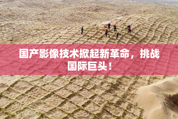国产影像技术掀起新革命，挑战国际巨头！