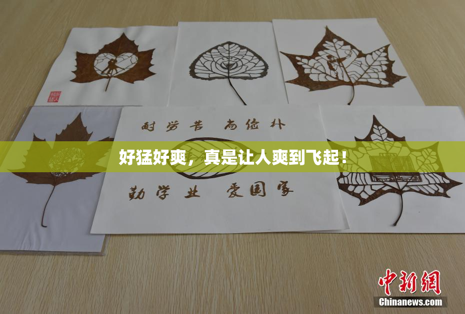 好猛好爽，真是让人爽到飞起！