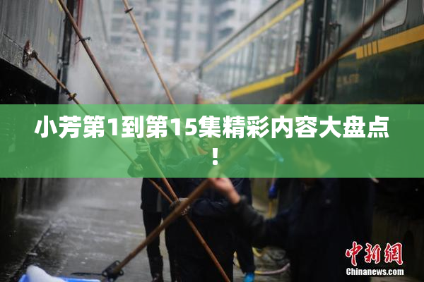 小芳第1到第15集精彩内容大盘点！