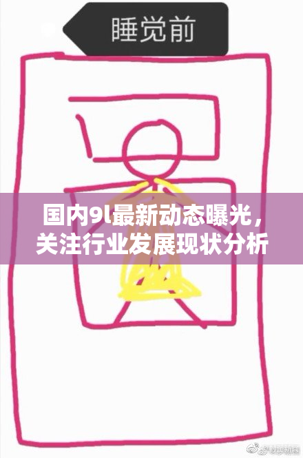 国内9l最新动态曝光，关注行业发展现状分析