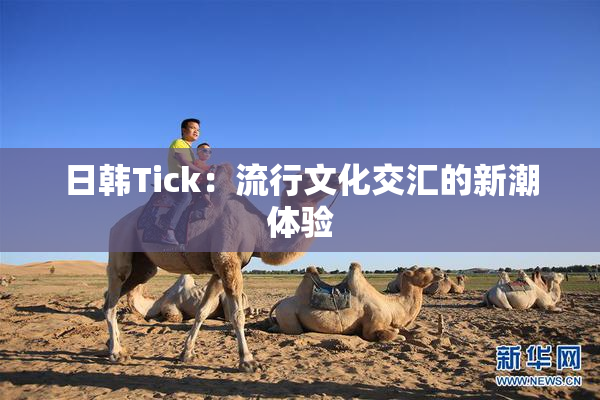 日韩Tick：流行文化交汇的新潮体验