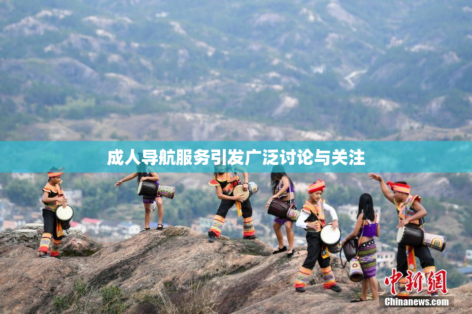成人导航服务引发广泛讨论与关注