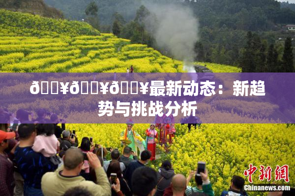 🔥🔥🔥最新动态：新趋势与挑战分析