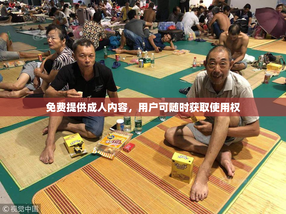 免费提供成人内容，用户可随时获取使用权