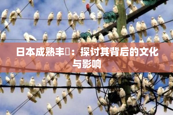 日本成熟丰滿：探讨其背后的文化与影响