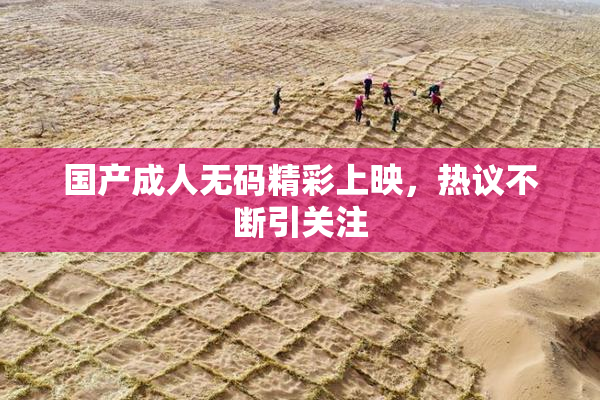国产成人无码精彩上映，热议不断引关注