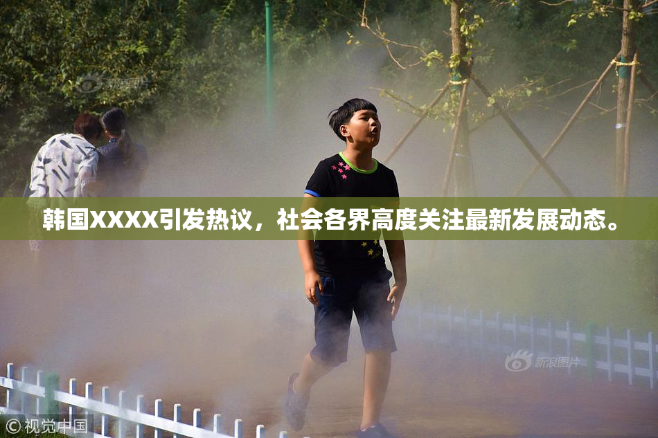 韩国XXXX引发热议，社会各界高度关注最新发展动态。