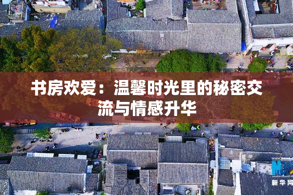 书房欢爱：温馨时光里的秘密交流与情感升华