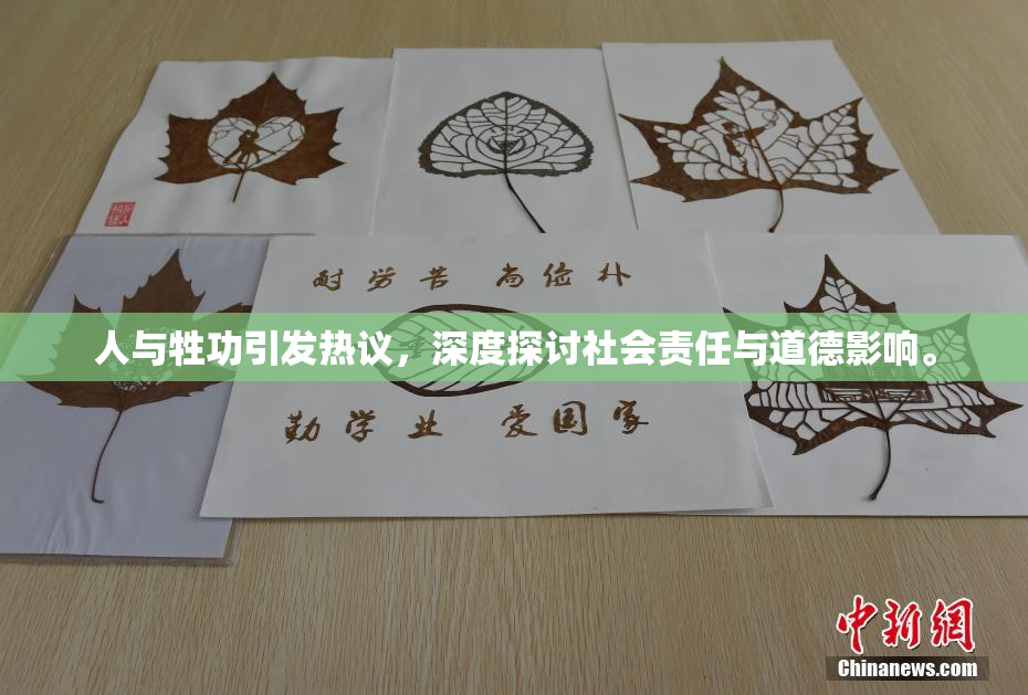 人与牲功引发热议，深度探讨社会责任与道德影响。