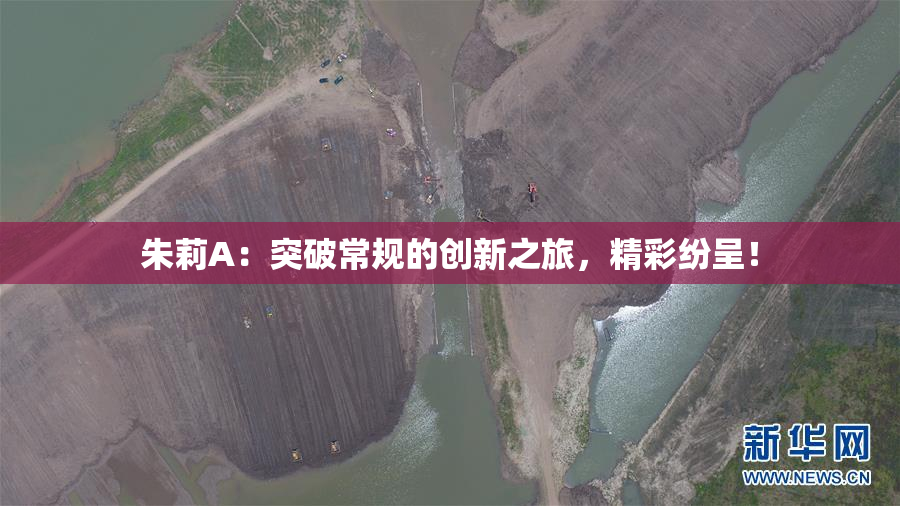 朱莉A：突破常规的创新之旅，精彩纷呈！
