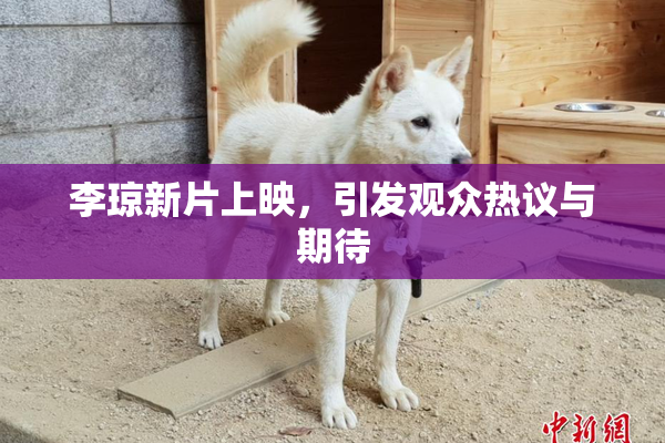 李琼新片上映，引发观众热议与期待