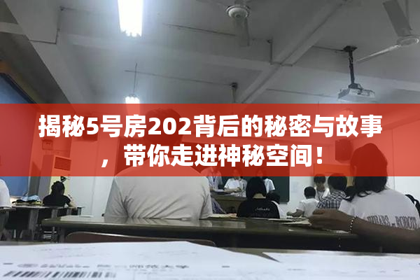 揭秘5号房202背后的秘密与故事，带你走进神秘空间！